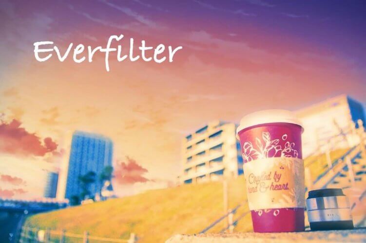 everfilter-5