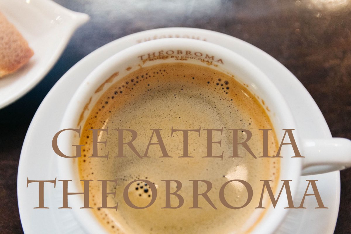 gelateria-theobroma-9