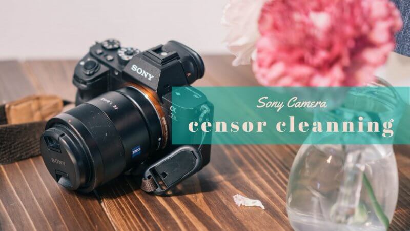sony-censor-cleaning-1-800x450.jpg