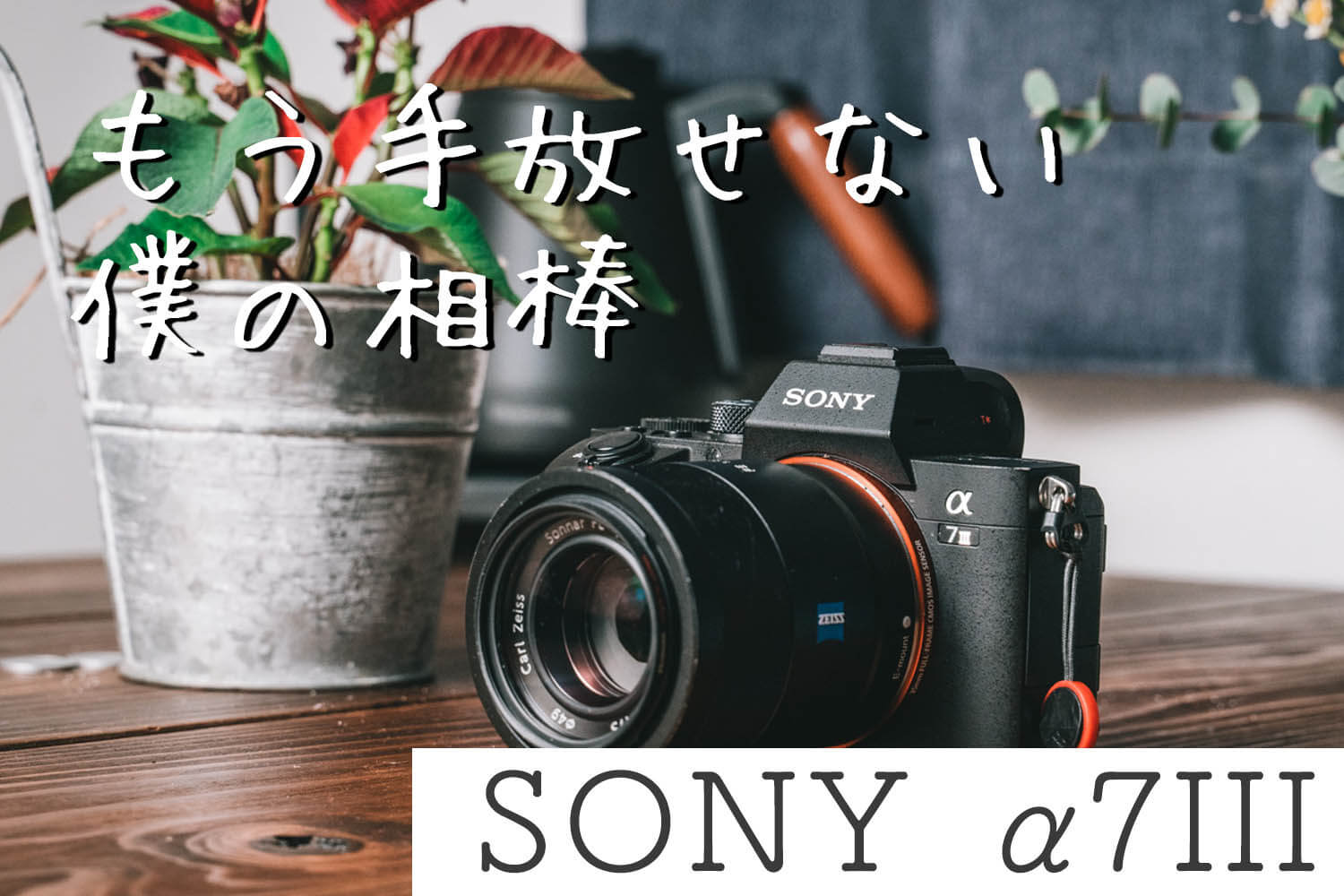 作例あり】SONYのミラーレス一眼 α7III レビュー ！α7IIから進化した点